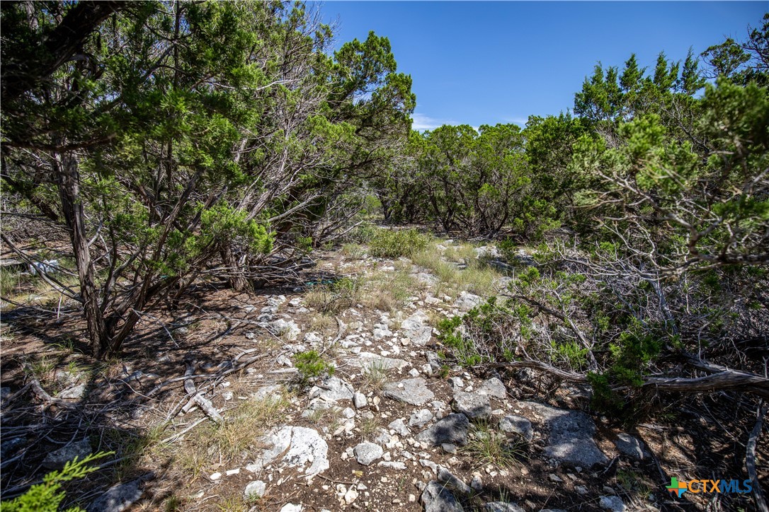 Castle Lake Overlook | 16.9± Acres | Bandera County