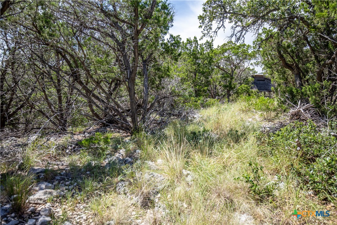 Castle Lake Overlook | 16.9± Acres | Bandera County
