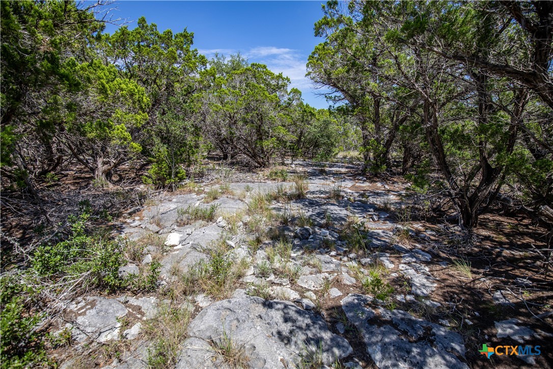 Castle Lake Overlook | 16.9± Acres | Bandera County