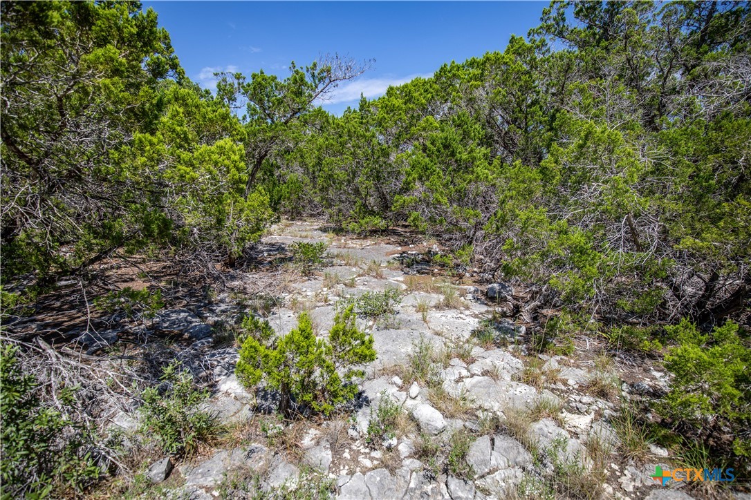 Castle Lake Overlook | 16.9± Acres | Bandera County