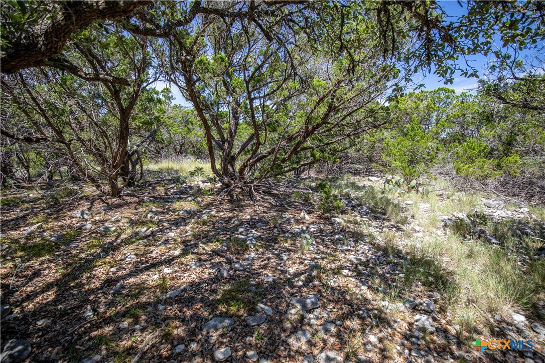 Castle Lake Overlook | 16.9± Acres | Bandera County