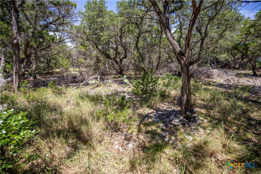 Castle Lake Overlook | 16.9± Acres | Bandera County