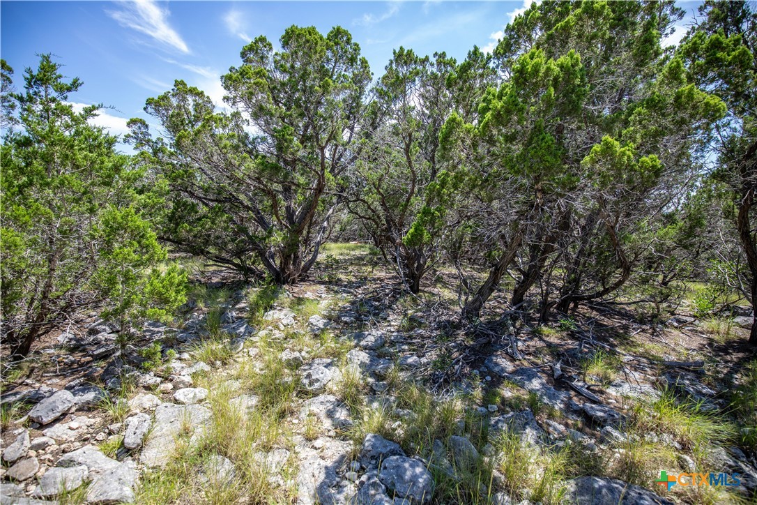 Castle Lake Overlook | 16.9± Acres | Bandera County