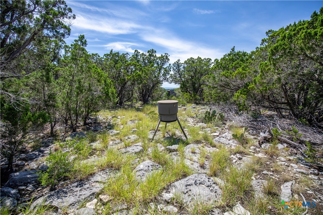 Castle Lake Overlook | 16.9± Acres | Bandera County