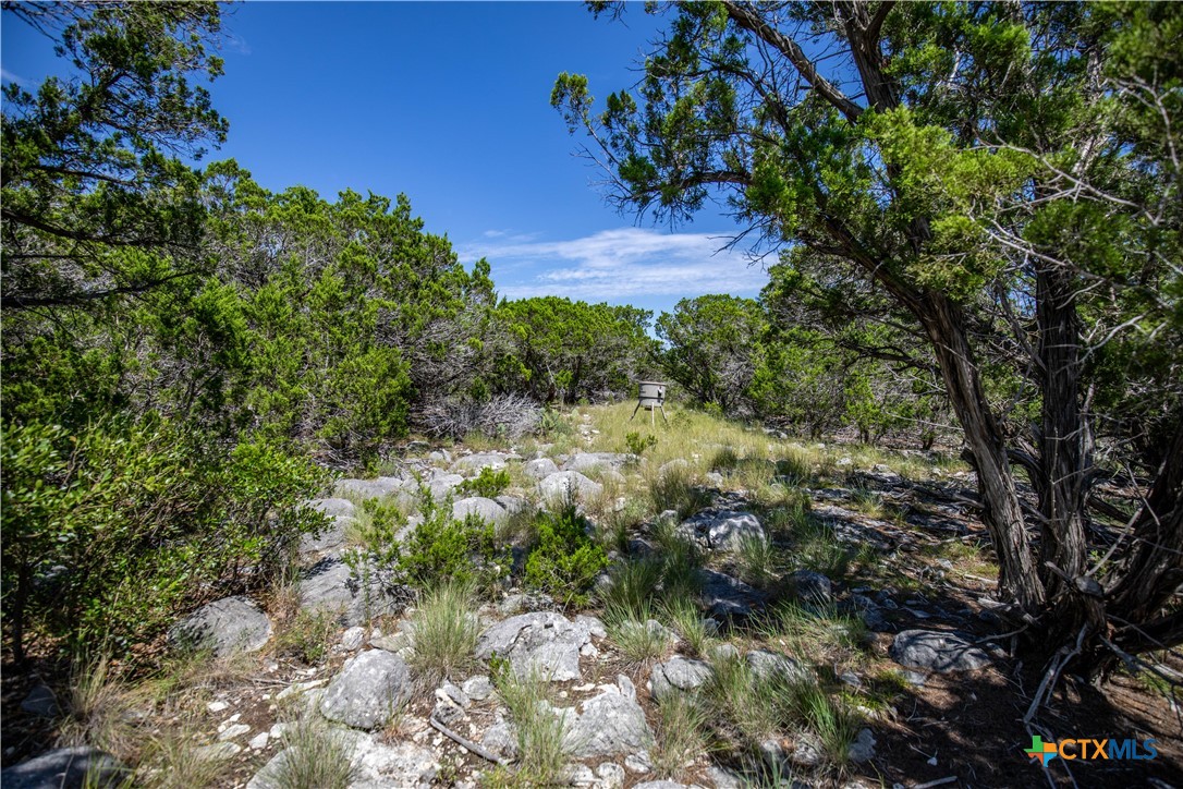Castle Lake Overlook | 16.9± Acres | Bandera County