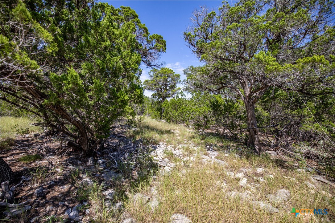 Castle Lake Overlook | 16.9± Acres | Bandera County
