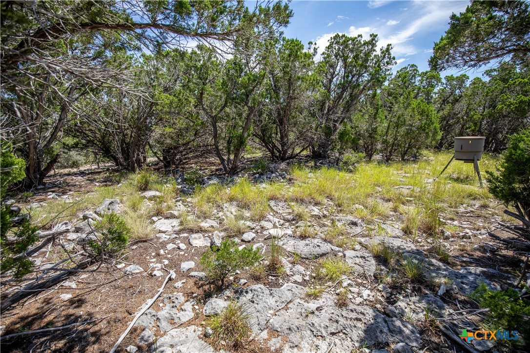 Castle Lake Overlook | 16.9± Acres | Bandera County