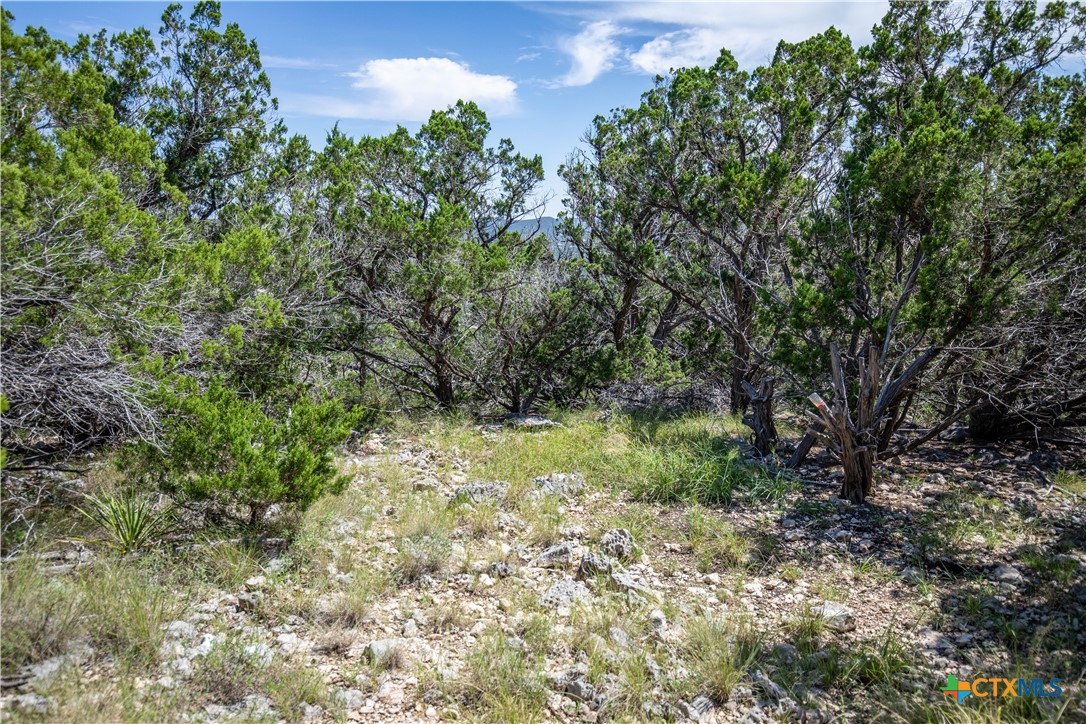Castle Lake Overlook | 16.9± Acres | Bandera County