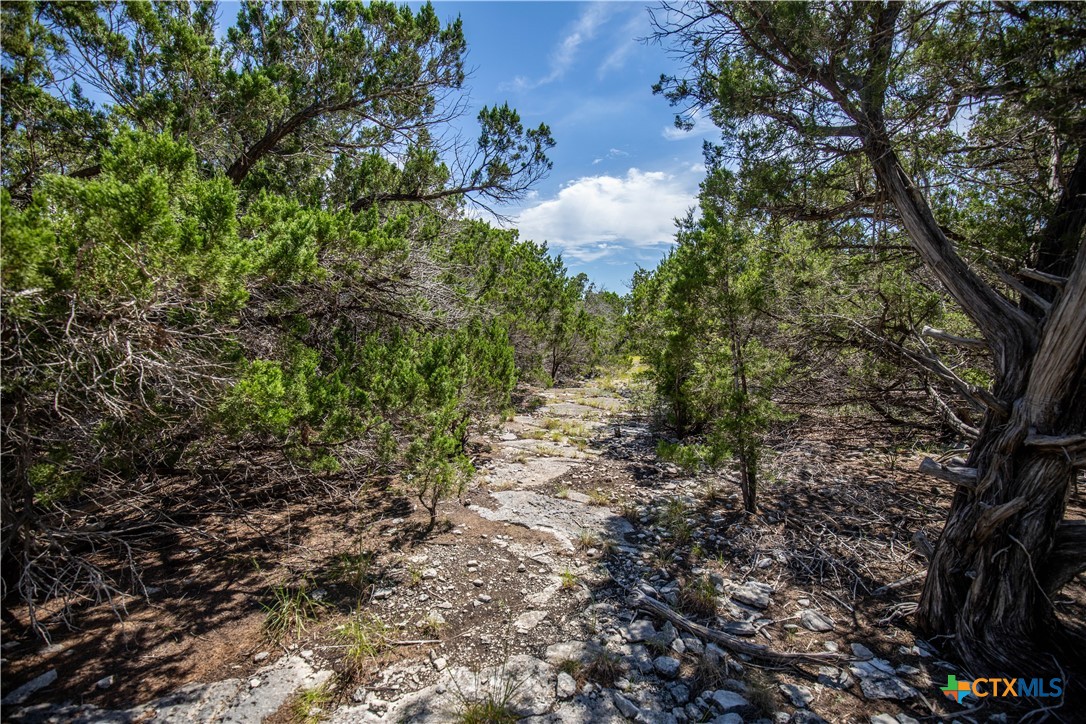 Castle Lake Overlook | 16.9± Acres | Bandera County