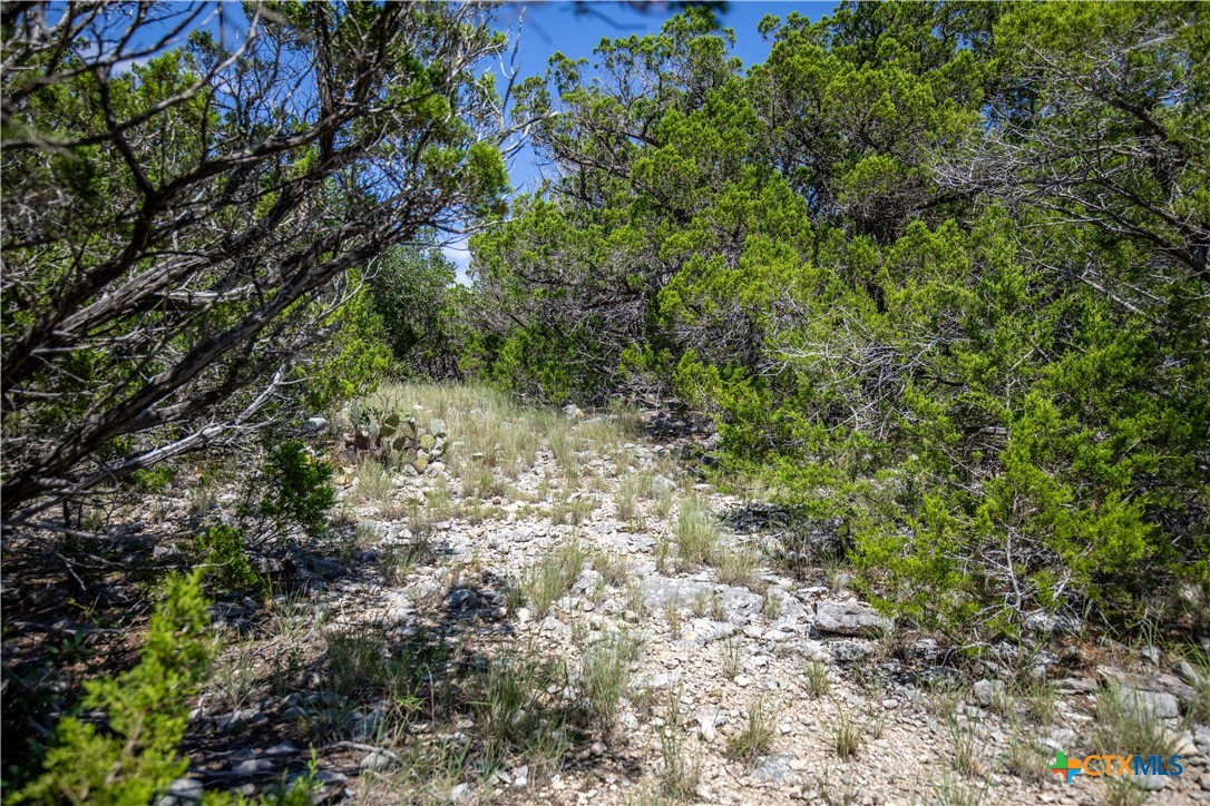 Castle Lake Overlook | 16.9± Acres | Bandera County