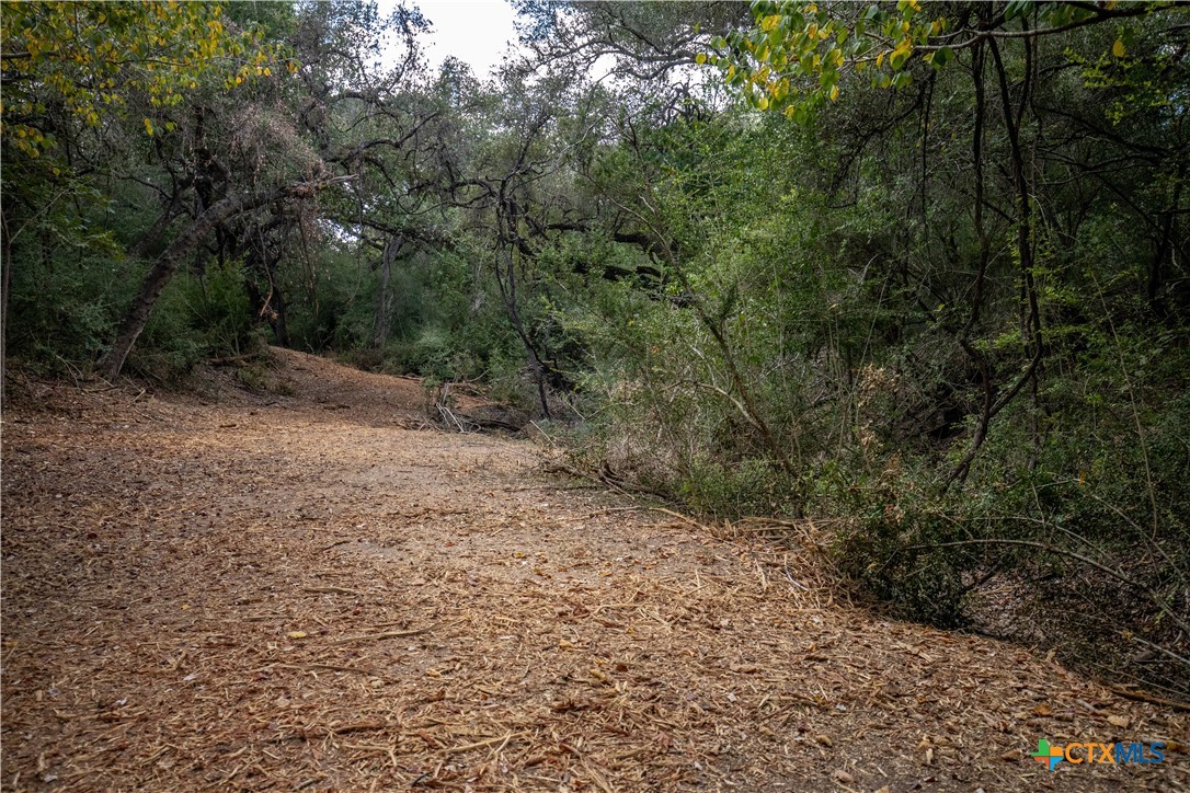 Ratcliff 55 | 55± Acres | Cuero, Dewitt County, TX