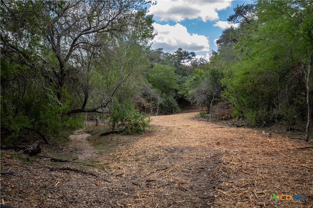 Ratcliff 55 | 55± Acres | Cuero, Dewitt County, TX