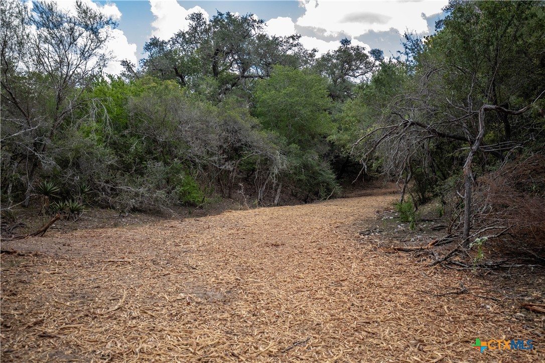 Ratcliff 55 | 55± Acres | Cuero, Dewitt County, TX