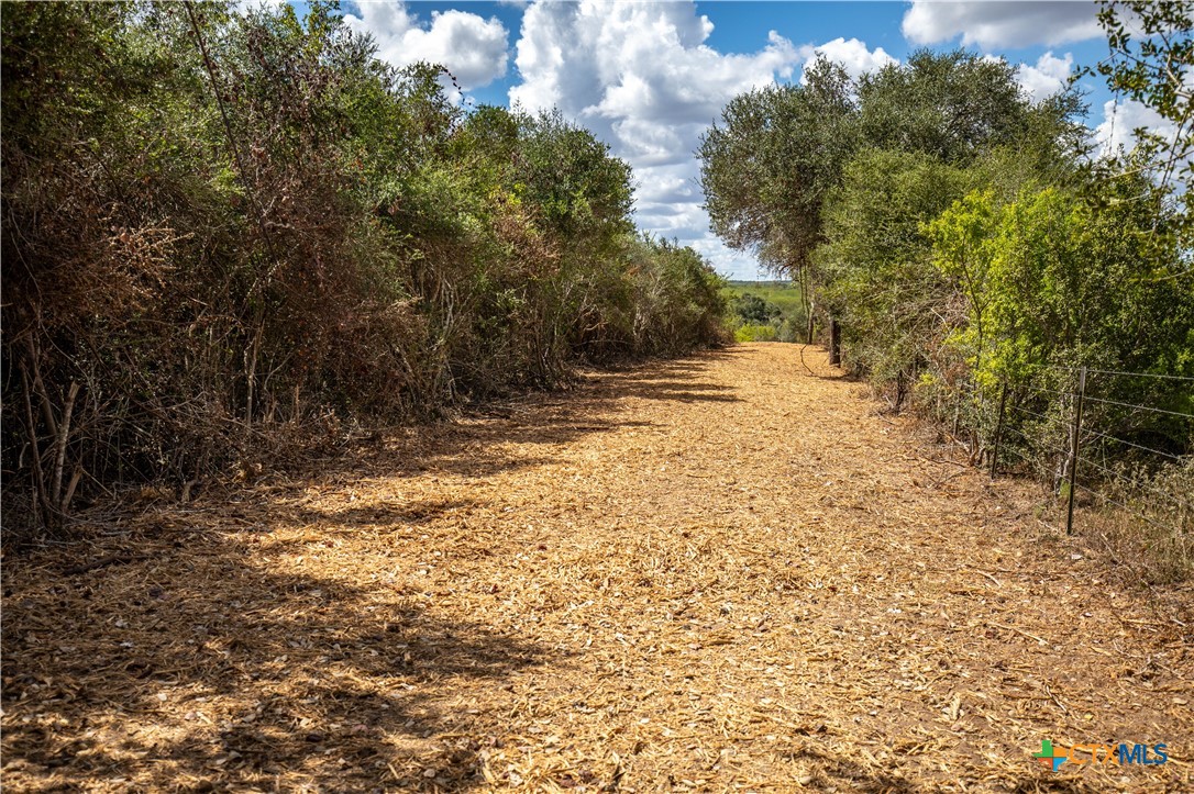 Ratcliff 55 | 55± Acres | Cuero, Dewitt County, TX