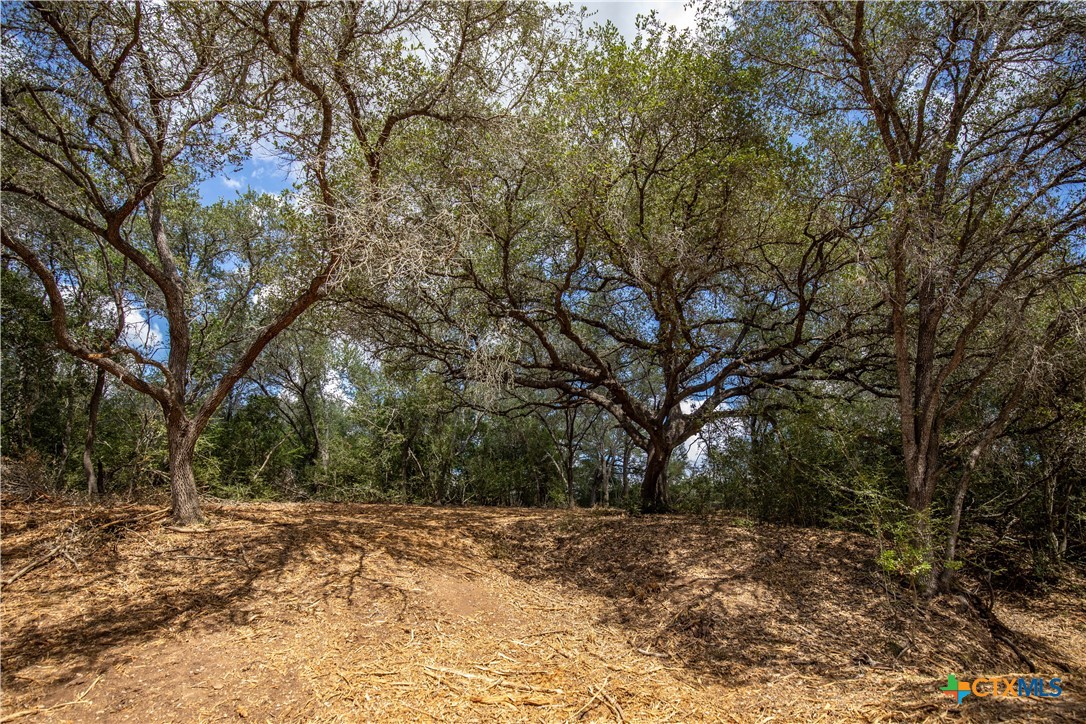 Ratcliff 55 | 55± Acres | Cuero, Dewitt County, TX