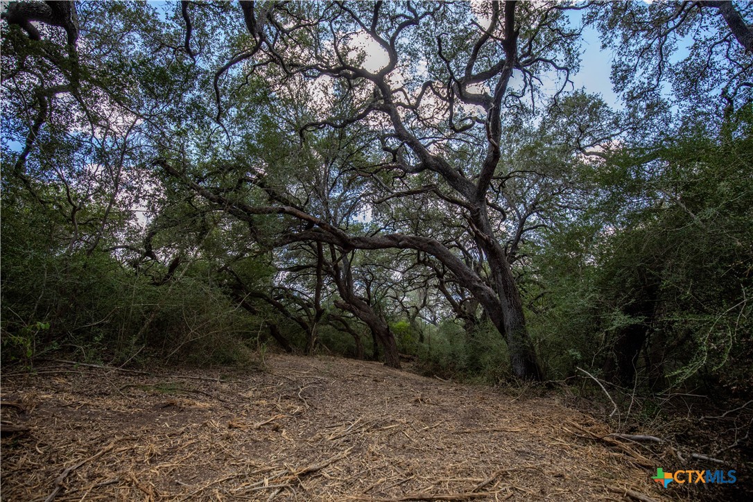 Ratcliff 55 | 55± Acres | Cuero, Dewitt County, TX