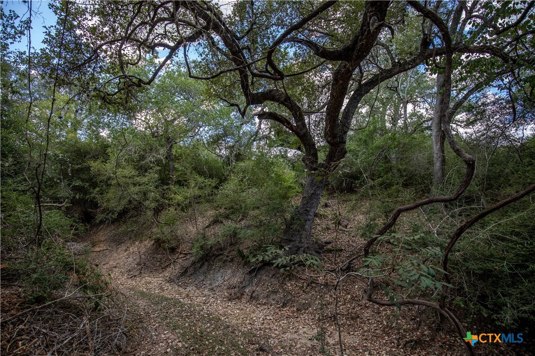 Ratcliff 55 | 55± Acres | Cuero, Dewitt County, TX