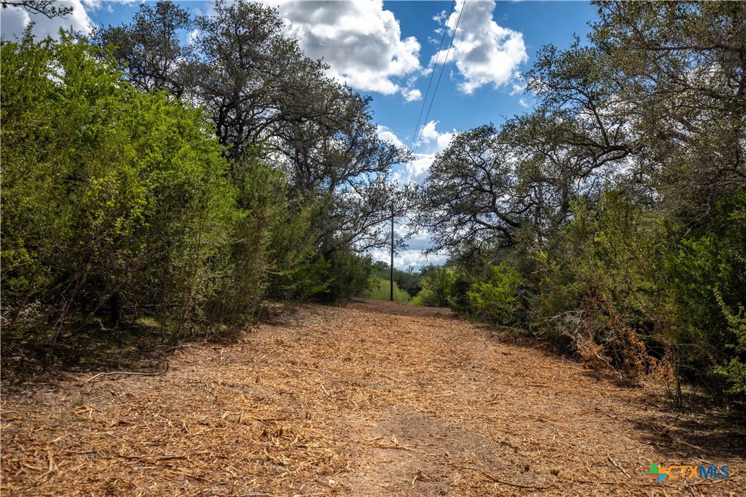 Ratcliff 55 | 55± Acres | Cuero, Dewitt County, TX
