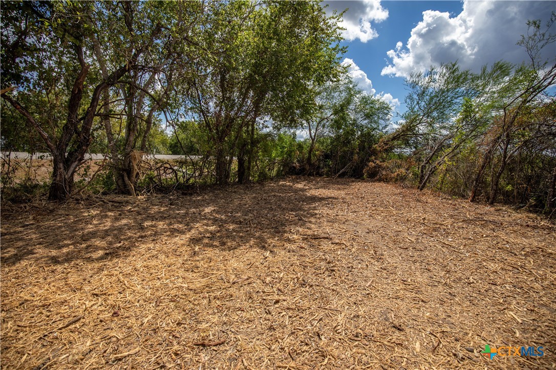 Ratcliff 55 | 55± Acres | Cuero, Dewitt County, TX