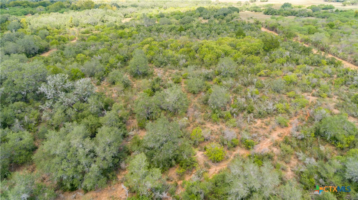 Ratcliff 55 | 55± Acres | Cuero, Dewitt County, TX