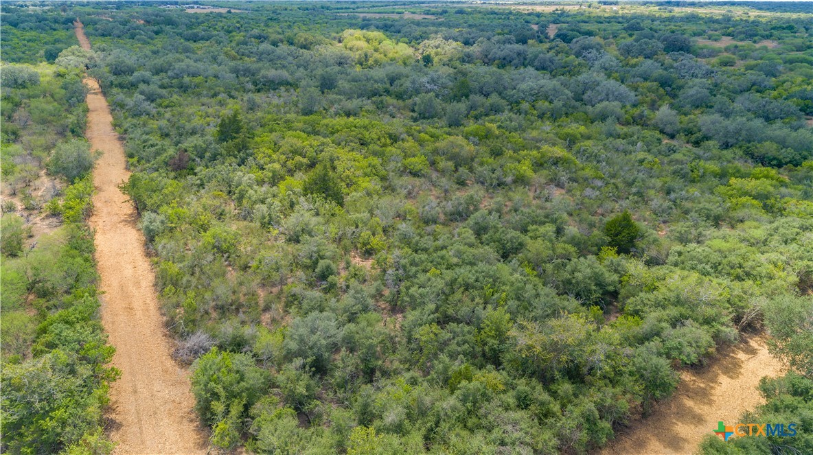 Ratcliff 55 | 55± Acres | Cuero, Dewitt County, TX