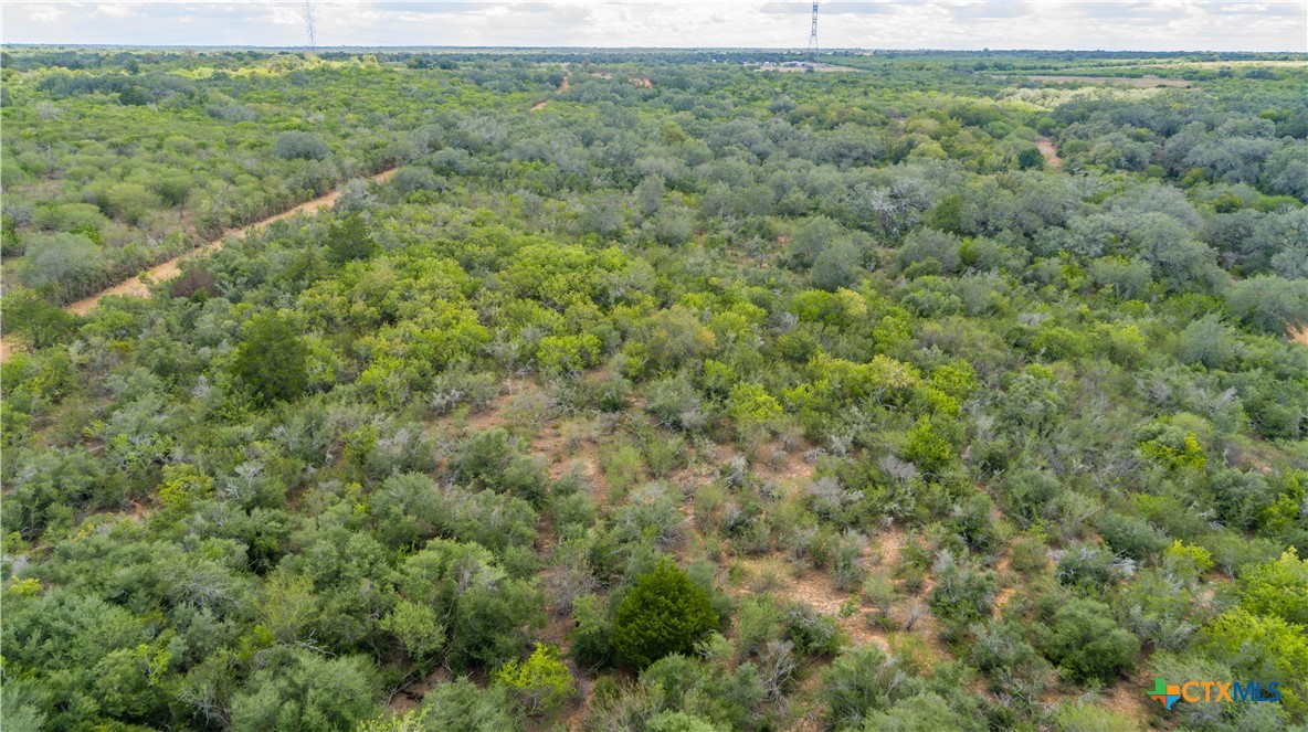 Ratcliff 55 | 55± Acres | Cuero, Dewitt County, TX
