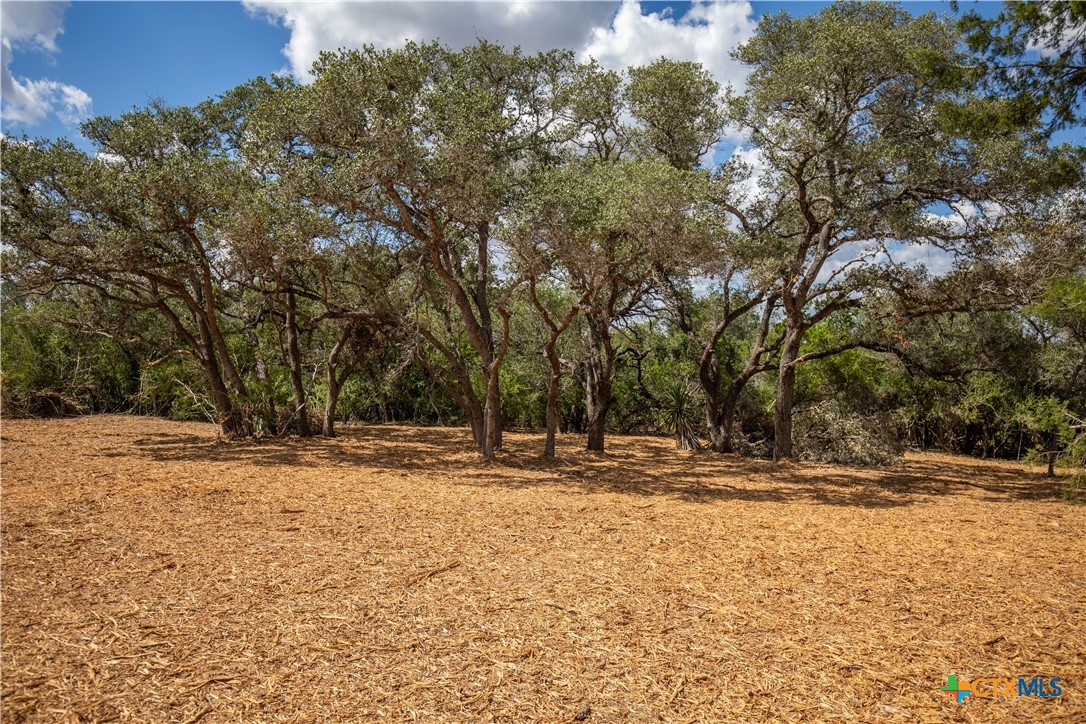 Ratcliff 55 | 55± Acres | Cuero, Dewitt County, TX