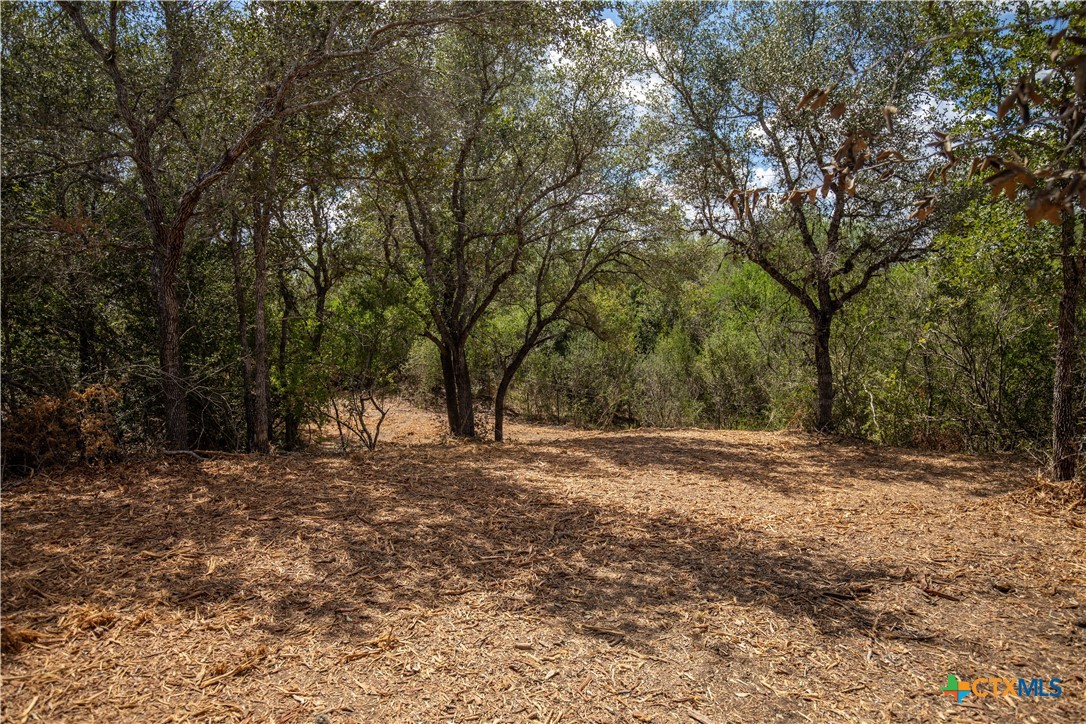 Ratcliff 55 | 55± Acres | Cuero, Dewitt County, TX