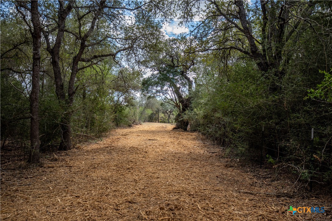 Ratcliff 55 | 55± Acres | Cuero, Dewitt County, TX