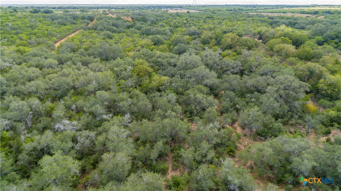 Ratcliff 55 | 55± Acres | Cuero, Dewitt County, TX