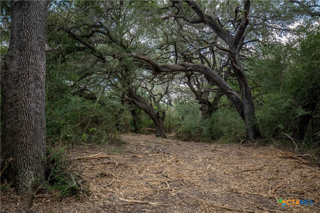 Ratcliff 55 | 55± Acres | Cuero, Dewitt County, TX