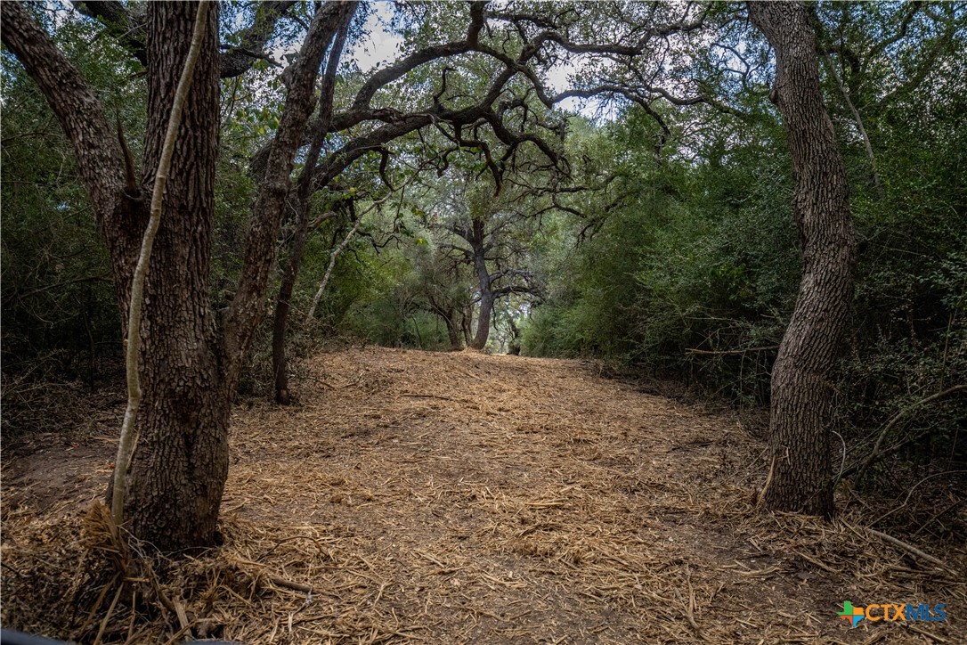 Ratcliff 55 | 55± Acres | Cuero, Dewitt County, TX