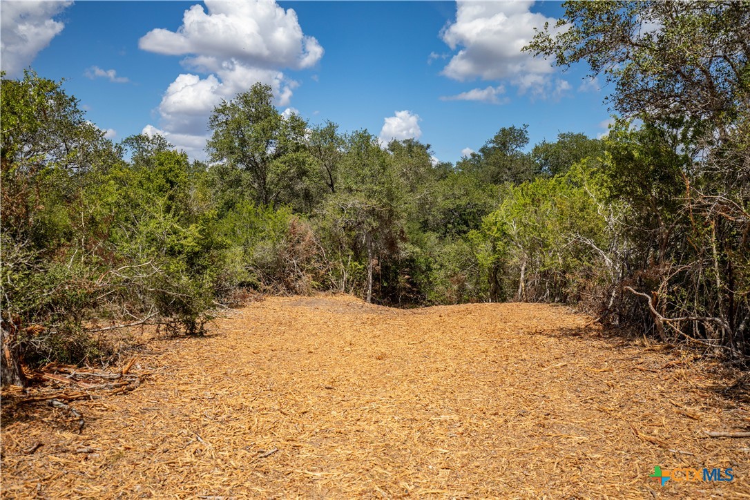 Ratcliff 55 | 55± Acres | Cuero, Dewitt County, TX