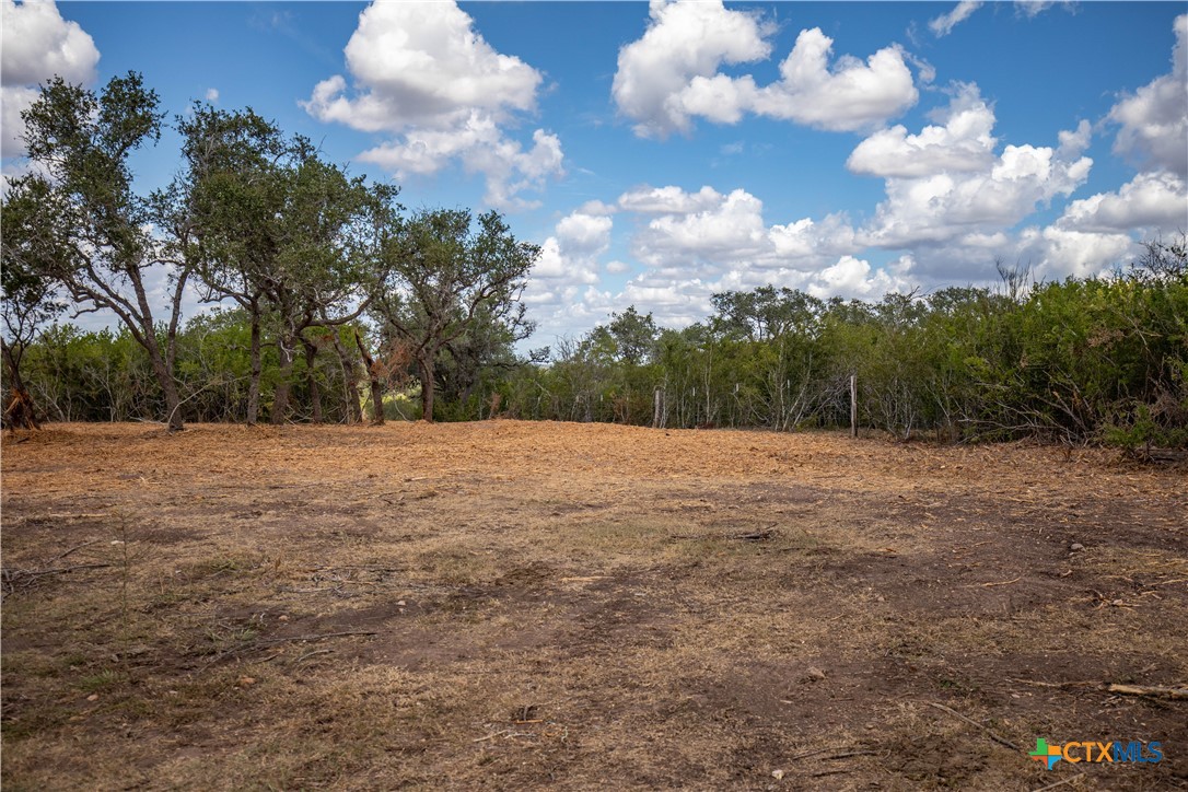 Ratcliff 55 | 55± Acres | Cuero, Dewitt County, TX