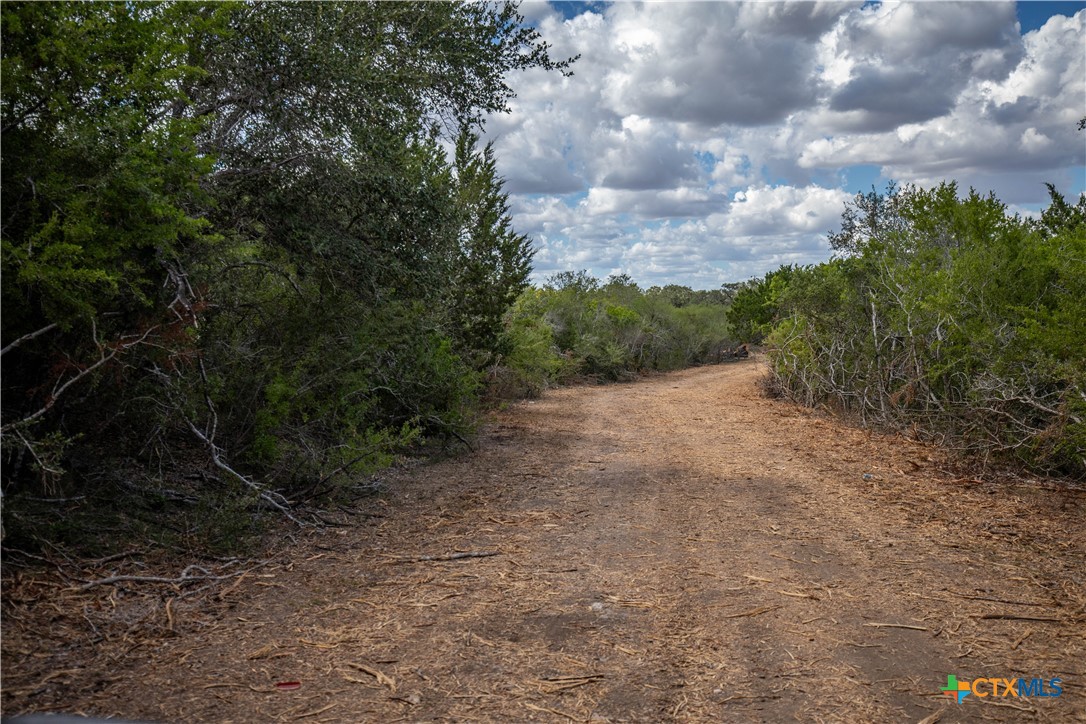 Ratcliff 55 | 55± Acres | Cuero, Dewitt County, TX