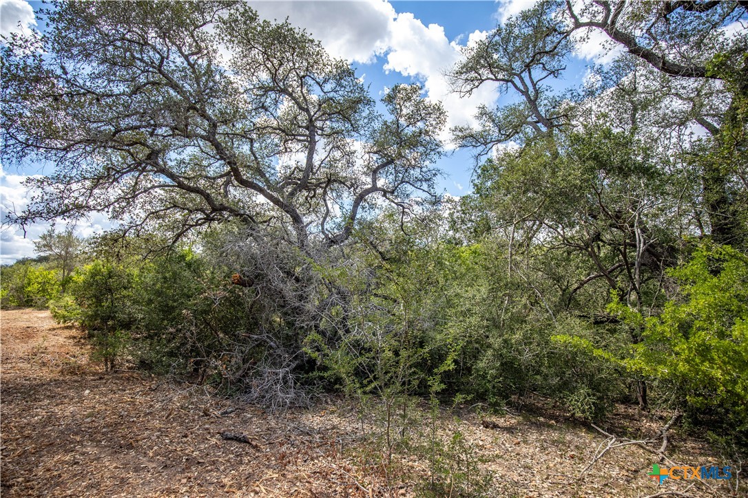 Ratcliff 55 | 55± Acres | Cuero, Dewitt County, TX