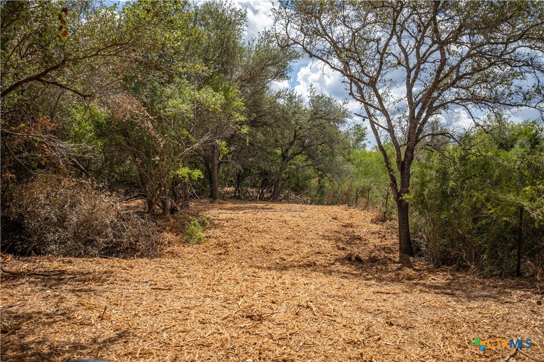 Ratcliff 55 | 55± Acres | Cuero, Dewitt County, TX