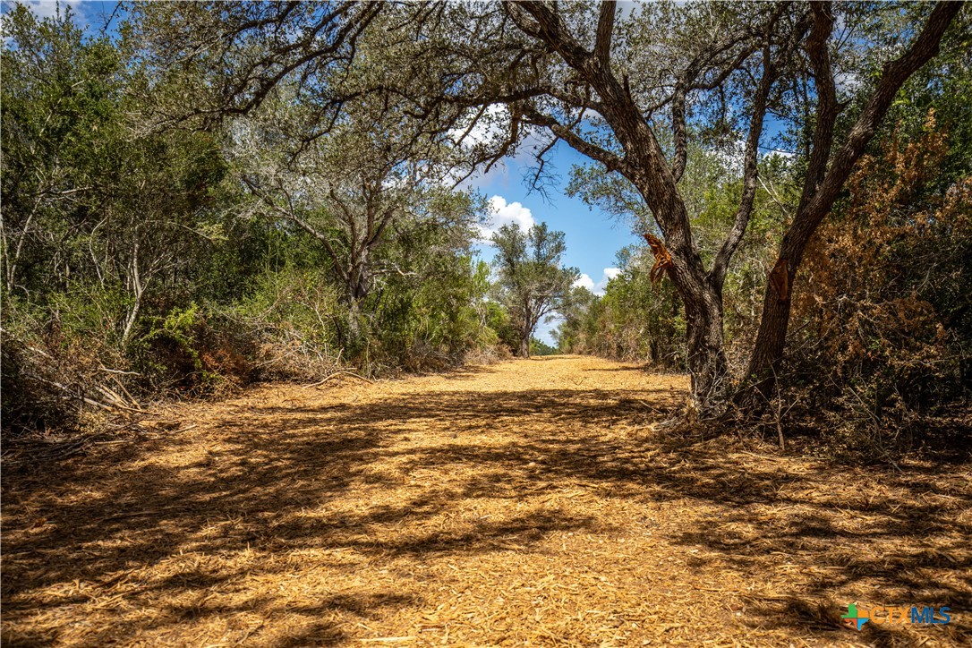 Ratcliff 55 | 55± Acres | Cuero, Dewitt County, TX