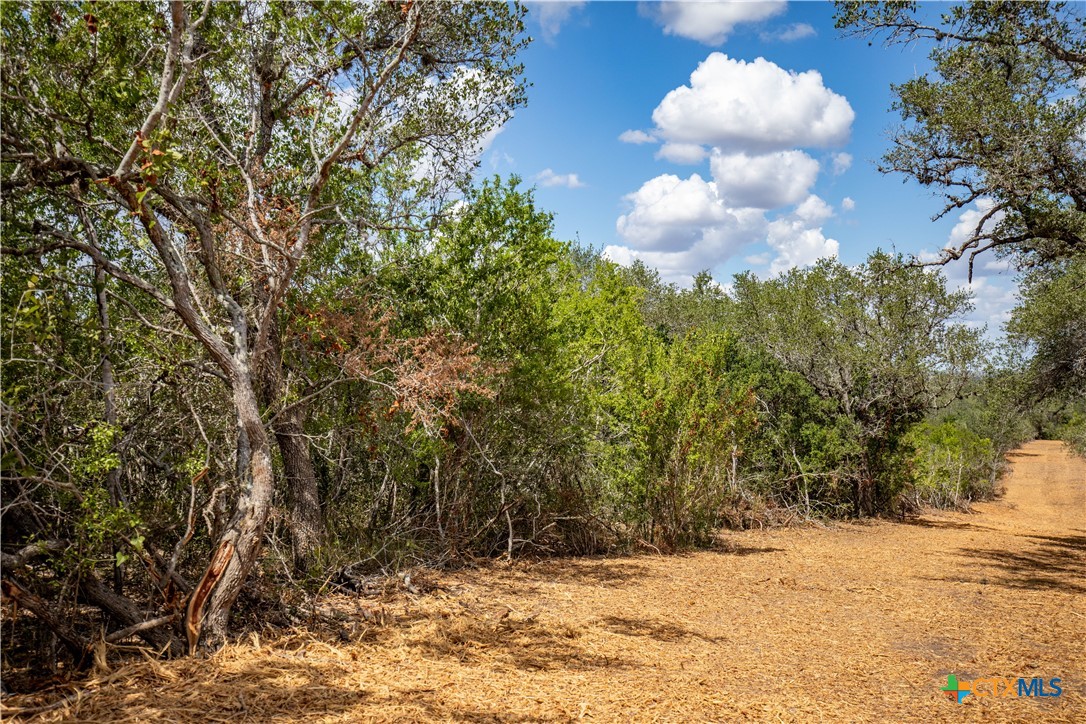 Ratcliff 55 | 55± Acres | Cuero, Dewitt County, TX