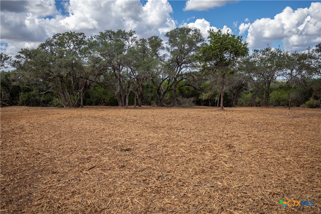 Ratcliff 55 | 55± Acres | Cuero, Dewitt County, TX