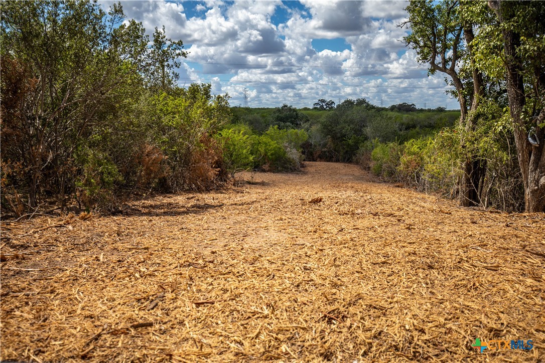 Ratcliff 55 | 55± Acres | Cuero, Dewitt County, TX