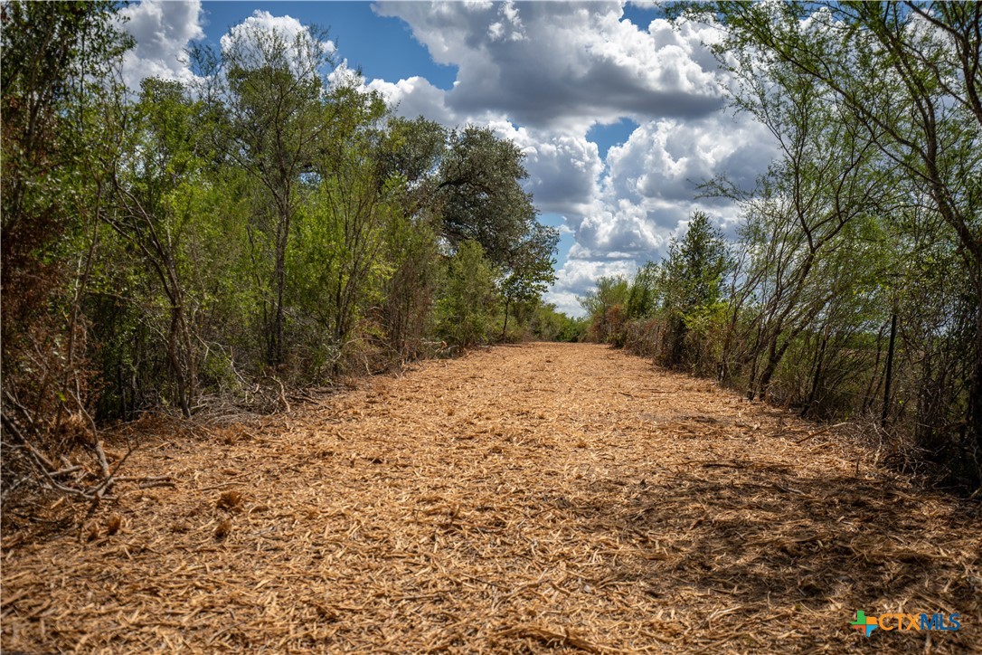 Ratcliff 55 | 55± Acres | Cuero, Dewitt County, TX