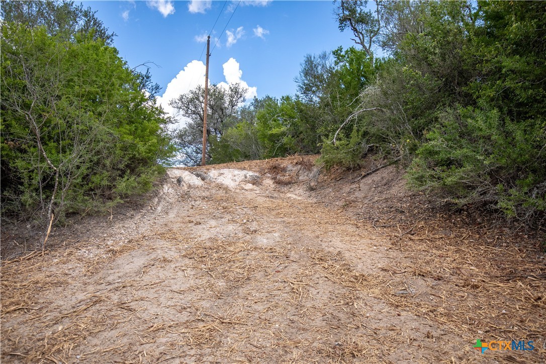 Ratcliff 55 | 55± Acres | Cuero, Dewitt County, TX