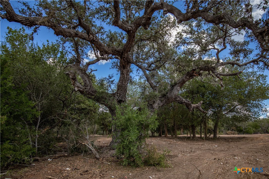 Ratcliff 55 | 55± Acres | Cuero, Dewitt County, TX