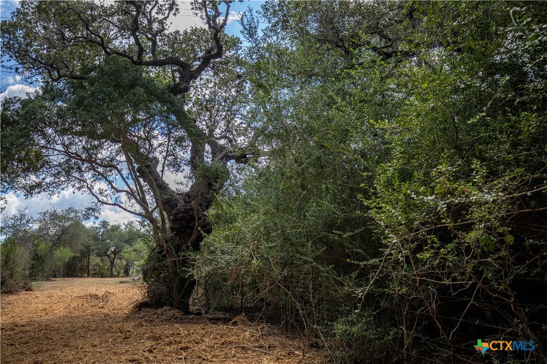 Ratcliff 55 | 55± Acres | Cuero, Dewitt County, TX