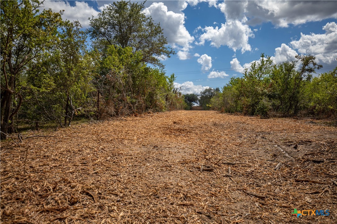 Ratcliff 55 | 55± Acres | Cuero, Dewitt County, TX