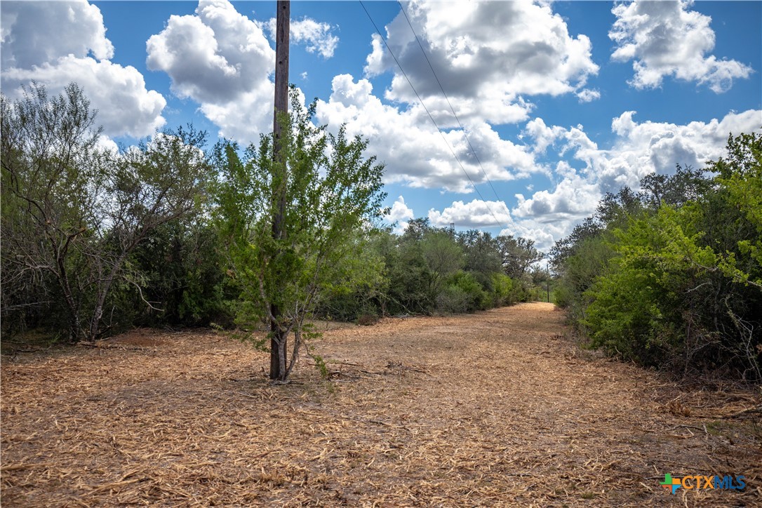 Ratcliff 55 | 55± Acres | Cuero, Dewitt County, TX