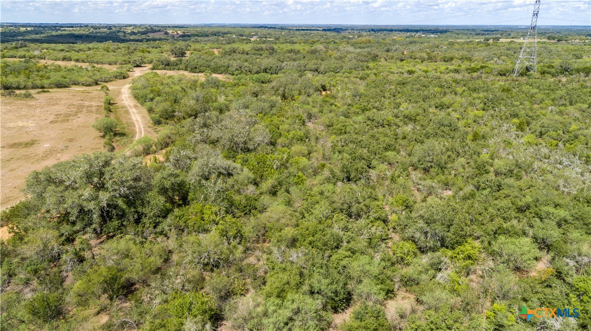 Ratcliff 55 | 55± Acres | Cuero, Dewitt County, TX