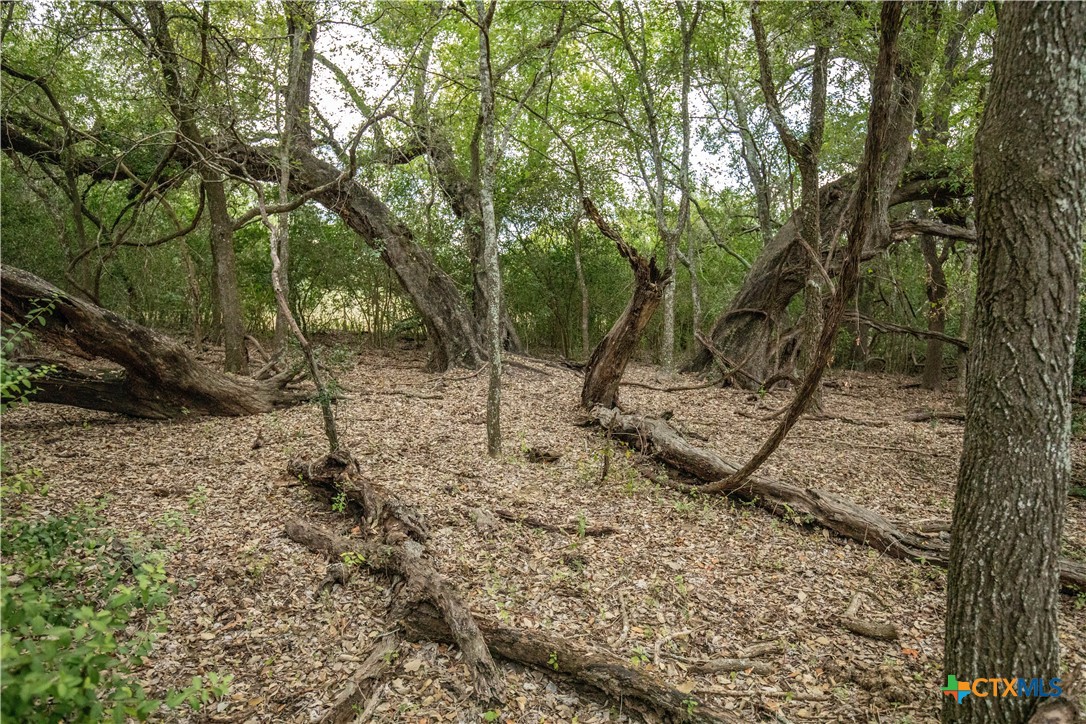 The S&K 408 | 408± Acres | Cuero, DeWitt County, Texas
