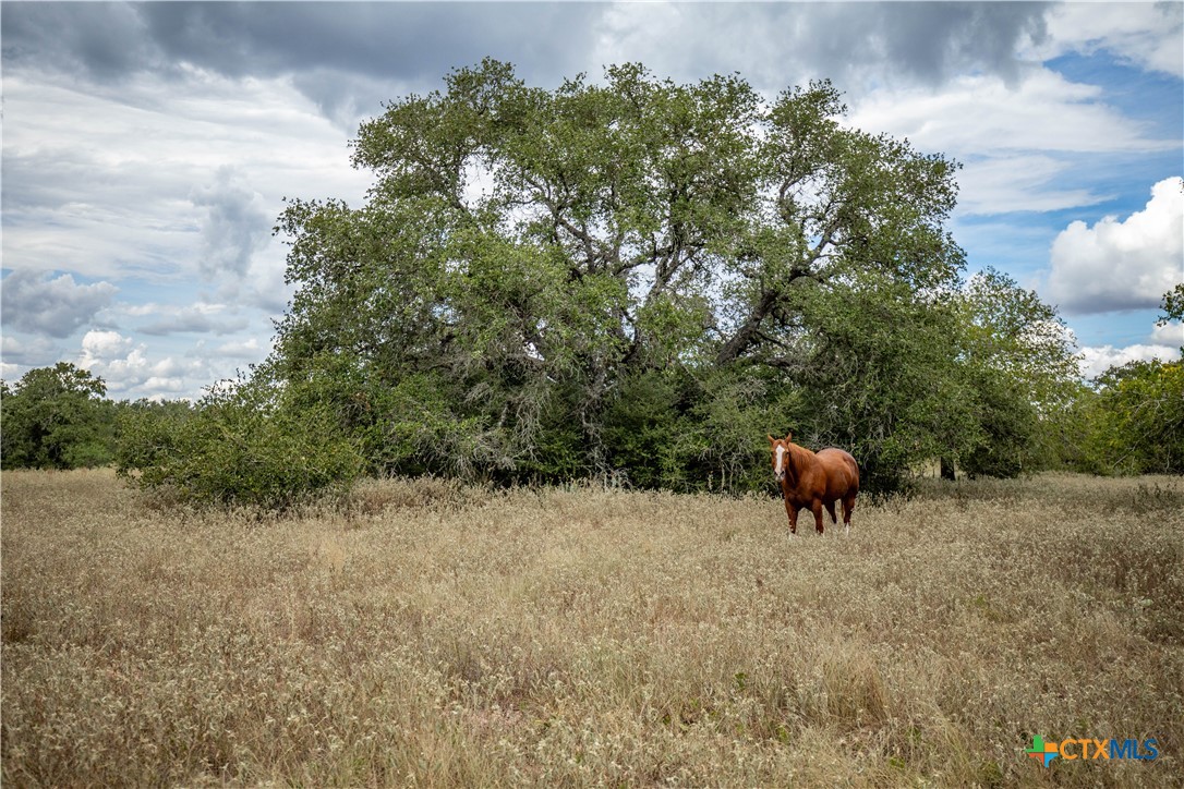 The S&K 408 | 408± Acres | Cuero, DeWitt County, Texas
